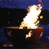 Fire Pit Art Sea Creatures Wood Burning 1