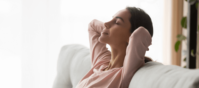 Clearing the Air: The No-Doubt Buying Guide To Air Purifiers