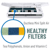 Tea Polyphenols - Anion - Vitamin C 3-in-1 Ductless Mini-split Air Filter | Qty 2