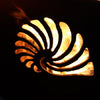Fire Pit Art Beachcomber Gas Fire with Penta 24 In Burner Match Lit